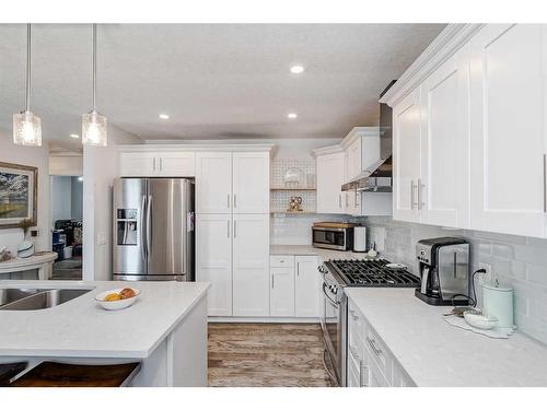 164 Falchurch Road Ne, Calgary, AB - Indoor Photo Showing Kitchen With Double Sink With Upgraded Kitchen