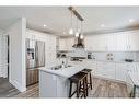 164 Falchurch Road Ne, Calgary, AB  - Indoor Photo Showing Kitchen With Double Sink With Upgraded Kitchen 