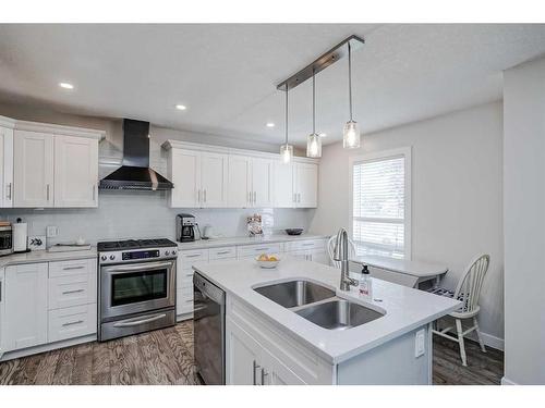 164 Falchurch Road Ne, Calgary, AB - Indoor Photo Showing Kitchen With Double Sink