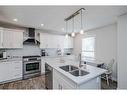 164 Falchurch Road Ne, Calgary, AB  - Indoor Photo Showing Kitchen With Double Sink 