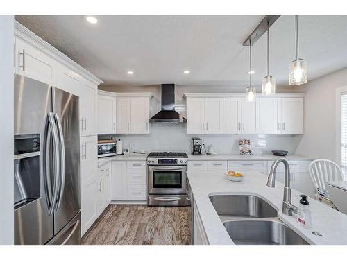 164 Falchurch Road Ne, Calgary, AB - Indoor Photo Showing Kitchen With Double Sink With Upgraded Kitchen