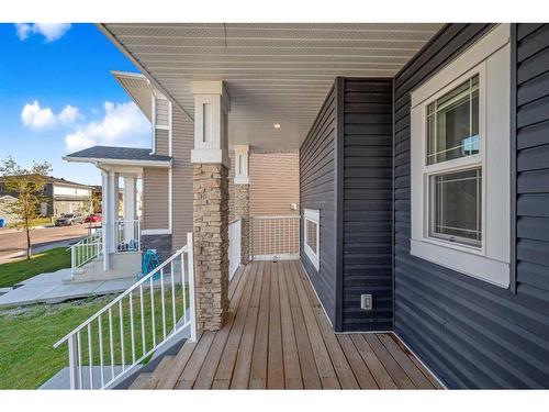 41 Red Embers Place Ne, Calgary, AB - Outdoor With Deck Patio Veranda With Exterior