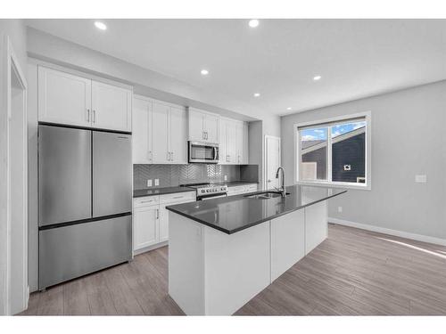 41 Red Embers Place Ne, Calgary, AB - Indoor Photo Showing Kitchen With Stainless Steel Kitchen With Upgraded Kitchen