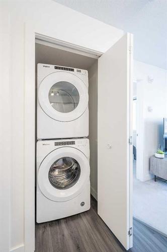 2317-4641 128 Avenue Ne, Calgary, AB - Indoor Photo Showing Laundry Room