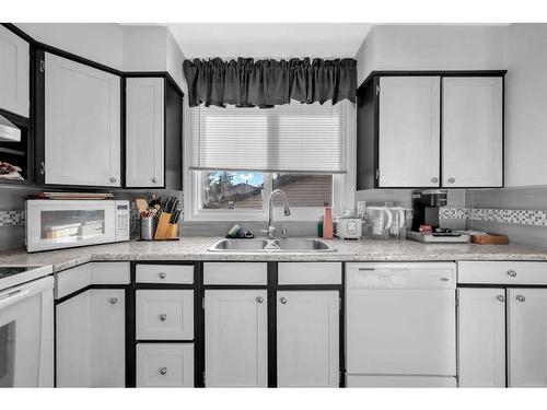 3323 Temple Way Ne, Calgary, AB - Indoor Photo Showing Kitchen With Double Sink