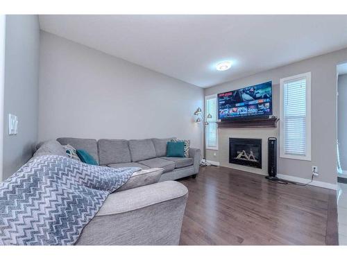 509 Saddlelake Drive Ne, Calgary, AB - Indoor With Fireplace