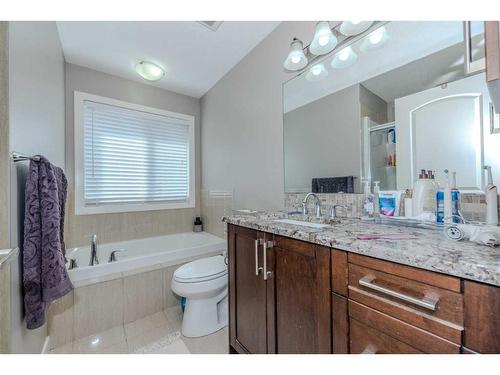 509 Saddlelake Drive Ne, Calgary, AB - Indoor Photo Showing Bathroom