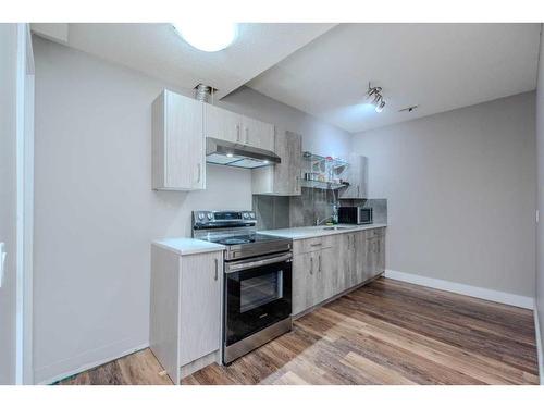 509 Saddlelake Drive Ne, Calgary, AB - Indoor Photo Showing Kitchen