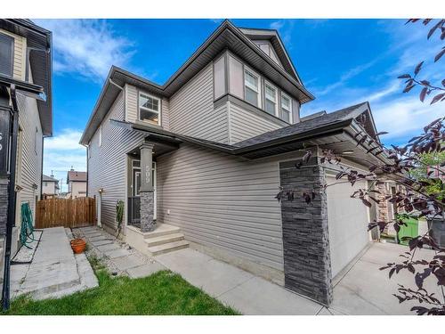 509 Saddlelake Drive Ne, Calgary, AB - Outdoor