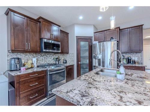 509 Saddlelake Drive Ne, Calgary, AB - Indoor Photo Showing Kitchen With Stainless Steel Kitchen With Double Sink With Upgraded Kitchen