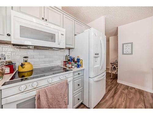 205-735 56 Avenue Sw, Calgary, AB - Indoor Photo Showing Kitchen