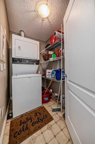 205-735 56 Avenue Sw, Calgary, AB - Indoor Photo Showing Laundry Room