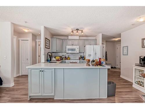 205-735 56 Avenue Sw, Calgary, AB - Indoor Photo Showing Kitchen