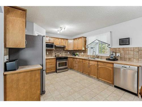 195 West Creek Landing, Chestermere, AB - Indoor Photo Showing Kitchen With Stainless Steel Kitchen With Double Sink