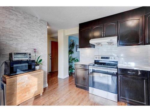 119 Erin Road Se, Calgary, AB - Indoor Photo Showing Kitchen