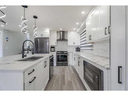 228 Pinecrest Crescent Ne, Calgary, AB - Indoor Photo Showing Kitchen With Stainless Steel Kitchen With Double Sink With Upgraded Kitchen