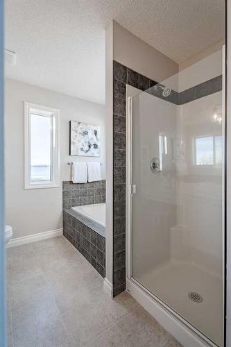 2046 Bridlemeadows Manor Sw, Calgary, AB - Indoor Photo Showing Bathroom