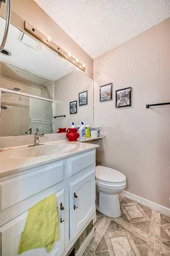 127 Sunmills Place Se, Calgary, AB - Indoor Photo Showing Bathroom