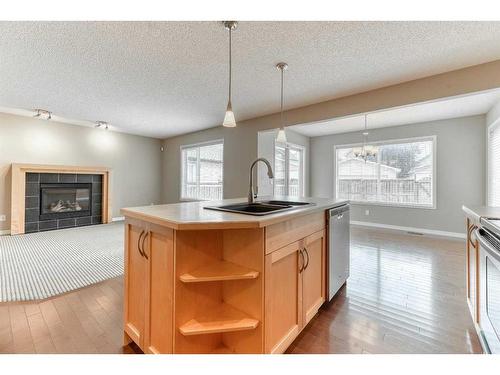 322 Cranfield Gardens Se, Calgary, AB - Indoor Photo Showing Kitchen With Fireplace With Double Sink