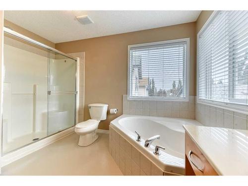 322 Cranfield Gardens Se, Calgary, AB - Indoor Photo Showing Bathroom