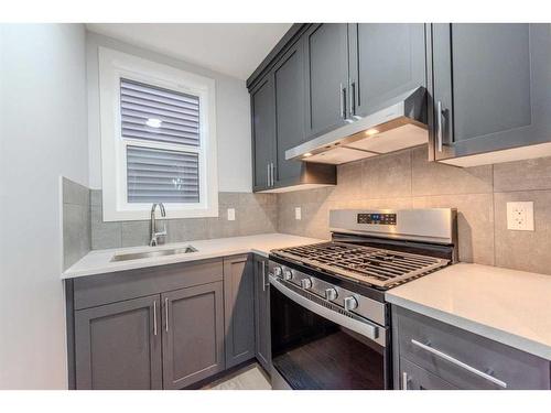 161 Homestead Terrace Ne, Calgary, AB - Indoor Photo Showing Kitchen With Upgraded Kitchen