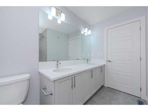 161 Homestead Terrace Ne, Calgary, AB - Indoor Photo Showing Bathroom