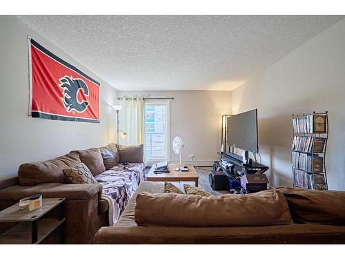 303-1820 9 Street Sw, Calgary, AB - Indoor Photo Showing Living Room