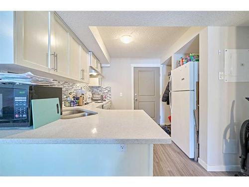 303-1820 9 Street Sw, Calgary, AB - Indoor Photo Showing Kitchen With Double Sink