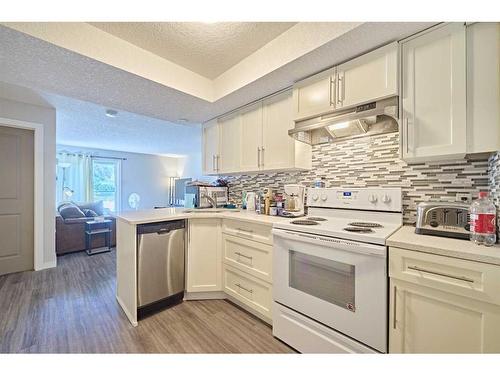 303-1820 9 Street Sw, Calgary, AB - Indoor Photo Showing Kitchen