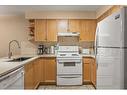 202-743 Railway Avenue, Canmore, AB  - Indoor Photo Showing Kitchen With Double Sink 