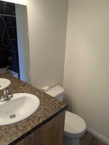 302-4311 73 Street Nw, Calgary, AB - Indoor Photo Showing Bathroom