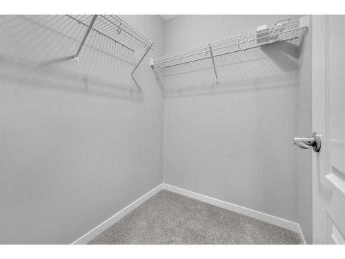 99 Red Embers Terrace Ne, Calgary, AB - Indoor With Storage