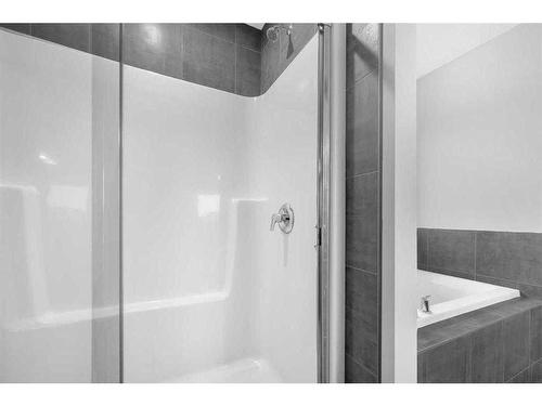 99 Red Embers Terrace Ne, Calgary, AB - Indoor Photo Showing Bathroom