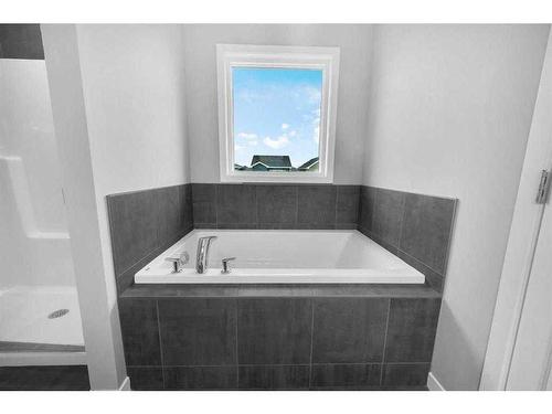 99 Red Embers Terrace Ne, Calgary, AB - Indoor Photo Showing Bathroom