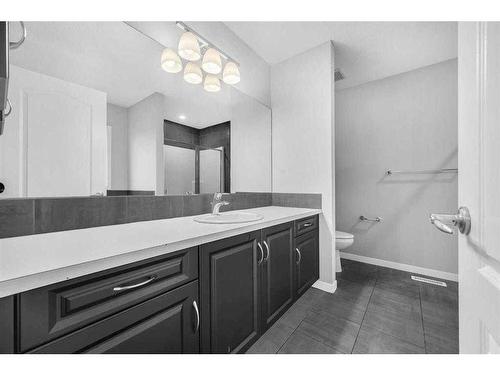 99 Red Embers Terrace Ne, Calgary, AB - Indoor Photo Showing Bathroom