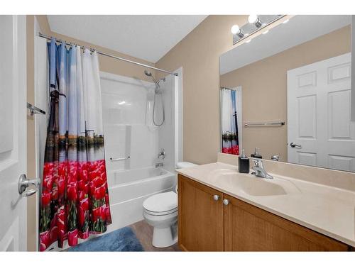 209 West Creek Circle, Chestermere, AB - Indoor Photo Showing Bathroom