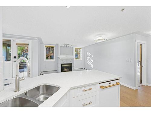 104-2419 Erlton Road Sw, Calgary, AB - Indoor Photo Showing Kitchen With Double Sink