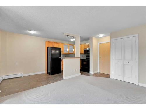 204-2317 17B Street Sw, Calgary, AB - Indoor Photo Showing Kitchen