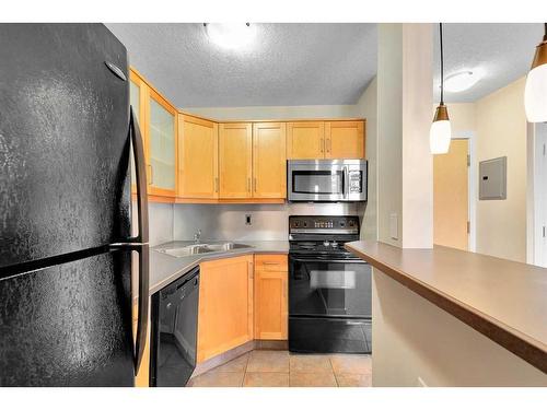 204-2317 17B Street Sw, Calgary, AB - Indoor Photo Showing Kitchen With Double Sink