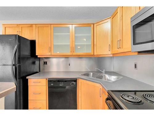 204-2317 17B Street Sw, Calgary, AB - Indoor Photo Showing Kitchen With Double Sink