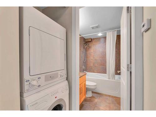 204-2317 17B Street Sw, Calgary, AB - Indoor Photo Showing Laundry Room