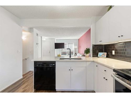 20 Erin Woods Court Se, Calgary, AB - Indoor Photo Showing Kitchen