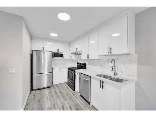 252 Coral Springs Mews Ne, Calgary, AB - Indoor Photo Showing Kitchen With Double Sink With Upgraded Kitchen