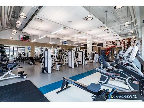 103-12 Mahogany Path Se, Calgary, AB - Indoor Photo Showing Gym Room