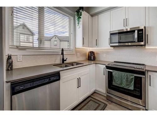 22 Evanscrest Park Nw, Calgary, AB - Indoor Photo Showing Kitchen With Double Sink