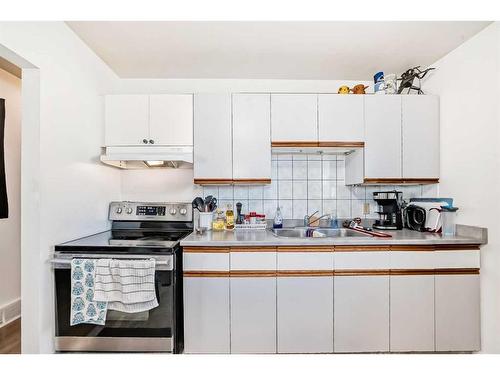 1501 39 Street Se, Calgary, AB - Indoor Photo Showing Kitchen With Double Sink