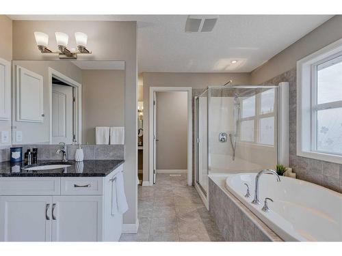 70 Auburn Springs Close Se, Calgary, AB - Indoor Photo Showing Bathroom