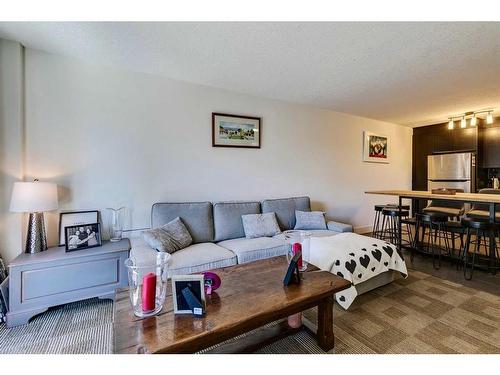 408-812 14 Avenue Sw, Calgary, AB - Indoor Photo Showing Living Room