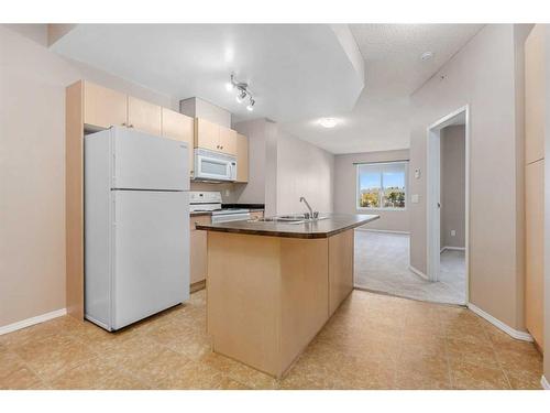 3211-73 Erin Woods Court Se, Calgary, AB - Indoor Photo Showing Kitchen With Double Sink