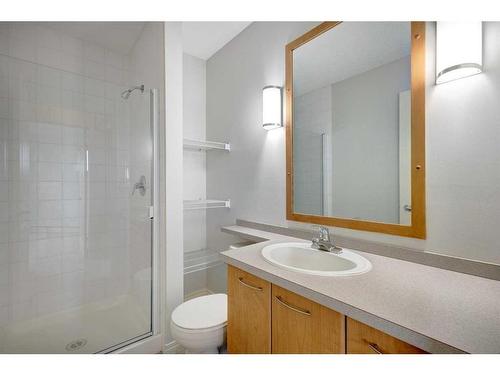 428-22 Richard Place Sw, Calgary, AB - Indoor Photo Showing Bathroom